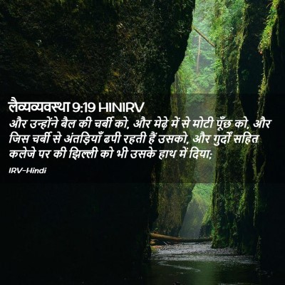 Picture 02 - लैव्यव्यवस्था 9:19 HINIRV - और उन्होंने बैल की - Bible Verse Picture