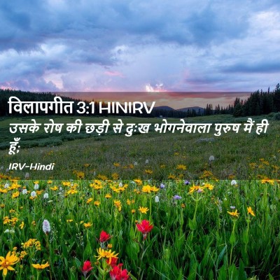 Picture 02 - विलापगीत 3:1 HINIRV - उसके रोष की छड़ी से - Bible Verse Picture