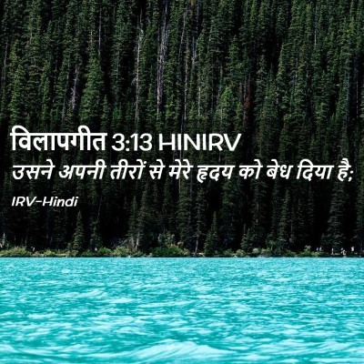 Picture 02 - विलापगीत 3:13 HINIRV - उसने अपनी तीरों से - Bible Verse Picture