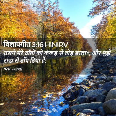 Picture 02 - विलापगीत 3:16 HINIRV - उसने मेरे दाँतों - Bible Verse Picture