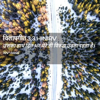 Picture 02 - विलापगीत 3:3 HINIRV - उसका हाथ दिन भर - Bible Verse Picture