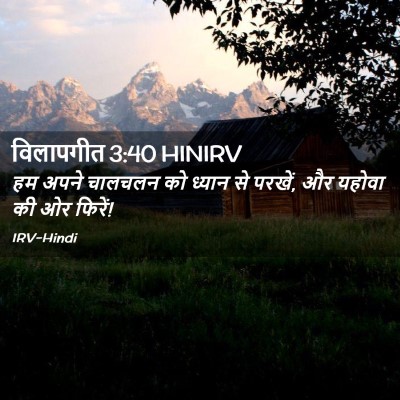 Picture 02 - विलापगीत 3:40 HINIRV - हम अपने चालचलन को - Bible Verse Picture