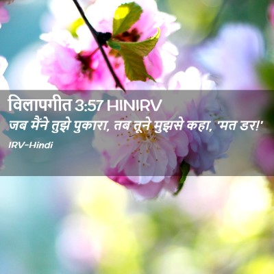 Picture 02 - विलापगीत 3:57 HINIRV - जब मैंने तुझे - Bible Verse Picture