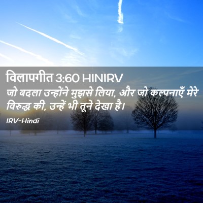 Picture 02 - विलापगीत 3:60 HINIRV - जो बदला उन्होंने - Bible Verse Picture