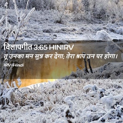 Picture 02 - विलापगीत 3:65 HINIRV - तू उनका मन सुन्न कर - Bible Verse Picture