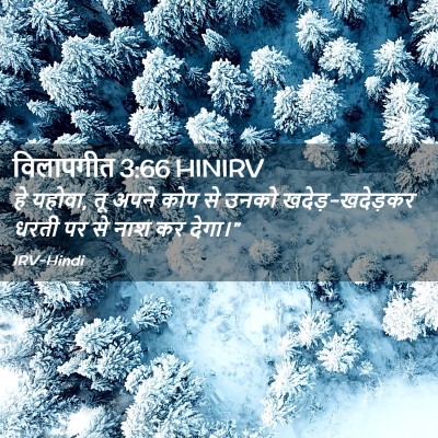 Picture 02 - विलापगीत 3:66 HINIRV - हे यहोवा, तू अपने - Bible Verse Picture