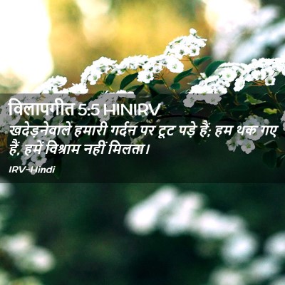 Picture 02 - विलापगीत 5:5 HINIRV - खदेड़नेवाले हमारी - Bible Verse Picture