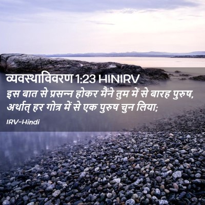 Picture 02 - व्यवस्थाविवरण 1:23 HINIRV - इस बात से प्रसन्‍न - Bible Verse Picture
