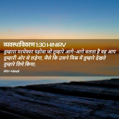Picture 02 - व्यवस्थाविवरण 1:30 HINIRV - तुम्हारा - Bible Verse Picture