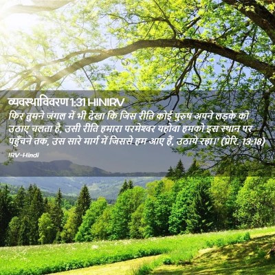 Picture 02 - व्यवस्थाविवरण 1:31 HINIRV - फिर तुमने जंगल में - Bible Verse Picture