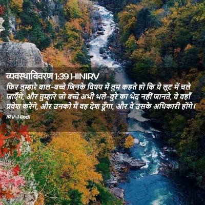 Picture 02 - व्यवस्थाविवरण 1:39 HINIRV - फिर तुम्हारे - Bible Verse Picture