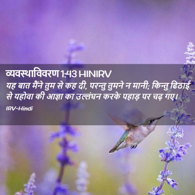 Picture 02 - व्यवस्थाविवरण 1:43 HINIRV - यह बात मैंने तुम से - Bible Verse Picture