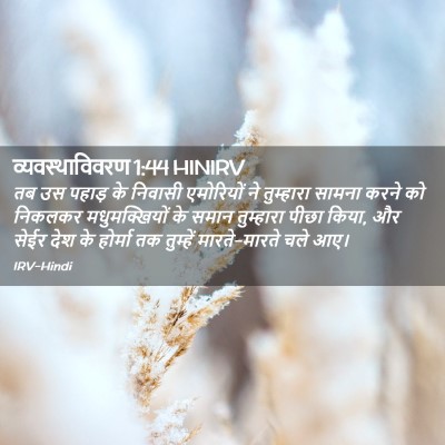 Picture 02 - व्यवस्थाविवरण 1:44 HINIRV - तब उस पहाड़ के - Bible Verse Picture
