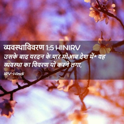 Picture 02 - व्यवस्थाविवरण 1:5 HINIRV - उसके बाद यरदन के - Bible Verse Picture