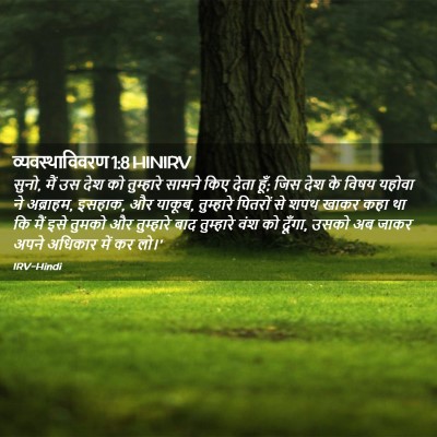 Picture 02 - व्यवस्थाविवरण 1:8 HINIRV - सुनो, मैं उस देश को - Bible Verse Picture