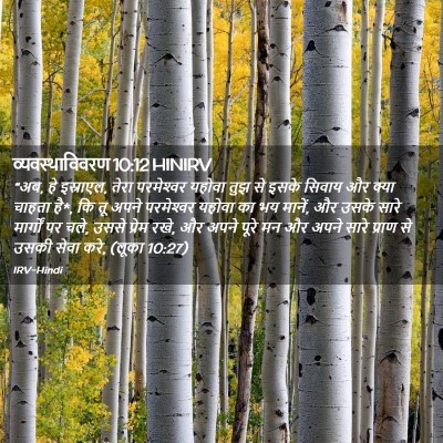 Picture 02 - व्यवस्थाविवरण 10:12 HINIRV - “अब, हे इस्राएल, - Bible Verse Picture