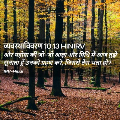 Picture 02 - व्यवस्थाविवरण 10:13 HINIRV - और यहोवा की जो-जो - Bible Verse Picture