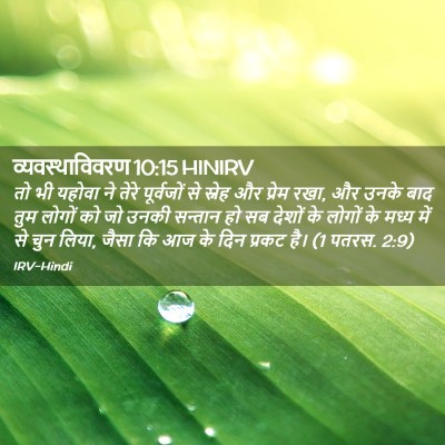 Picture 02 - व्यवस्थाविवरण 10:15 HINIRV - तो भी यहोवा ने तेरे - Bible Verse Picture