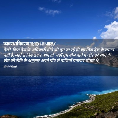 Picture 02 - व्यवस्थाविवरण 11:10 HINIRV - देखो, जिस देश के - Bible Verse Picture
