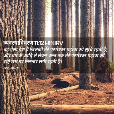Picture 02 - व्यवस्थाविवरण 11:12 HINIRV - वह ऐसा देश है जिसकी - Bible Verse Picture