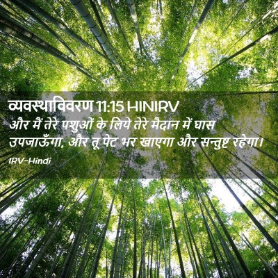 Picture 02 - व्यवस्थाविवरण 11:15 HINIRV - और मैं तेरे पशुओं - Bible Verse Picture