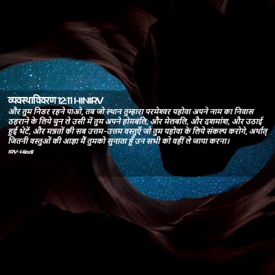 Picture 02 - व्यवस्थाविवरण 12:11 HINIRV - और तुम निडर रहने - Bible Verse Picture
