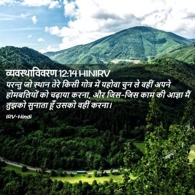 Picture 02 - व्यवस्थाविवरण 12:14 HINIRV - परन्तु जो स्थान - Bible Verse Picture