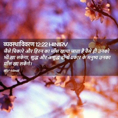 Picture 02 - व्यवस्थाविवरण 12:22 HINIRV - जैसे चिकारे और - Bible Verse Picture