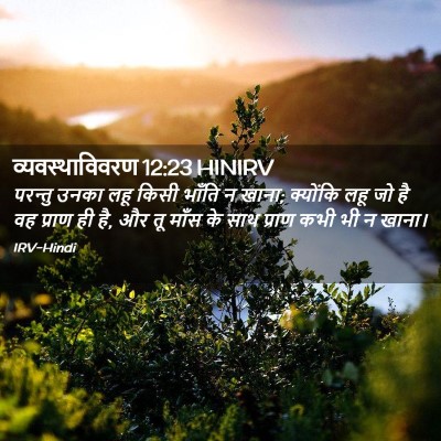 Picture 02 - व्यवस्थाविवरण 12:23 HINIRV - परन्तु उनका लहू - Bible Verse Picture