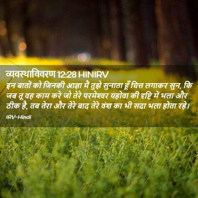 Picture 02 - व्यवस्थाविवरण 12:28 HINIRV - इन बातों को जिनकी - Bible Verse Picture