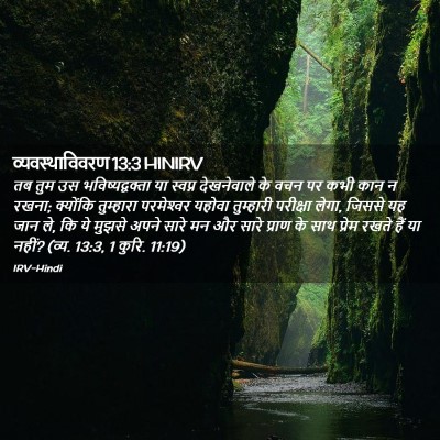 Picture 02 - व्यवस्थाविवरण 13:3 HINIRV - तब तुम उस - Bible Verse Picture