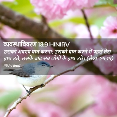 Picture 02 - व्यवस्थाविवरण 13:9 HINIRV - उसको अवश्य घात - Bible Verse Picture