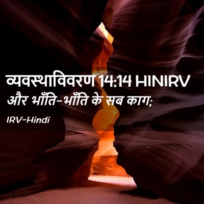 Picture 02 - व्यवस्थाविवरण 14:14 HINIRV - और भाँति-भाँति के - Bible Verse Picture
