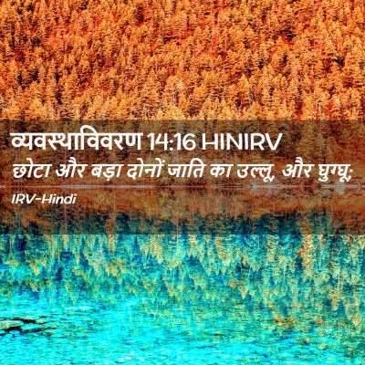 Picture 02 - व्यवस्थाविवरण 14:16 HINIRV - छोटा और बड़ा दोनों - Bible Verse Picture