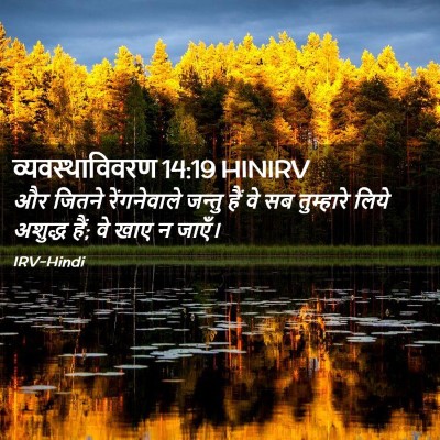 Picture 02 - व्यवस्थाविवरण 14:19 HINIRV - और जितने - Bible Verse Picture