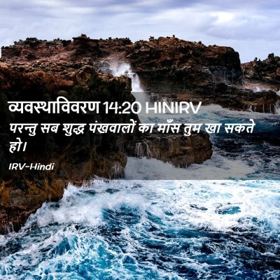 Picture 02 - व्यवस्थाविवरण 14:20 HINIRV - परन्तु सब शुद्ध - Bible Verse Picture