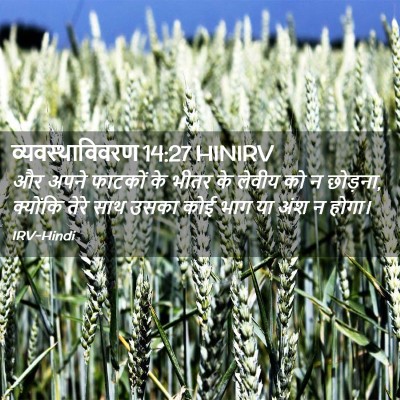 Picture 02 - व्यवस्थाविवरण 14:27 HINIRV - और अपने फाटकों के - Bible Verse Picture
