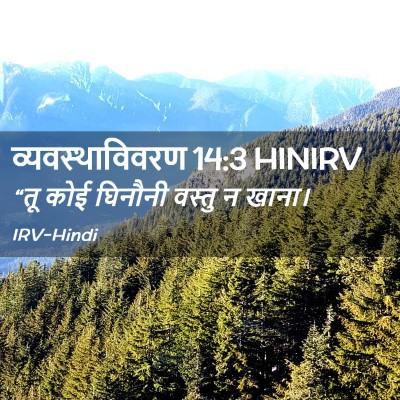 Picture 02 - व्यवस्थाविवरण 14:3 HINIRV - “तू कोई घिनौनी - Bible Verse Picture