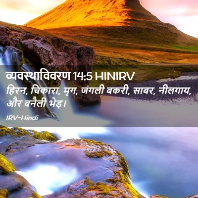 Picture 02 - व्यवस्थाविवरण 14:5 HINIRV - हिरन, चिकारा, मृग, - Bible Verse Picture