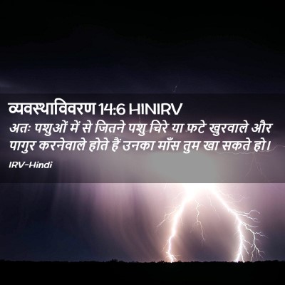 Picture 02 - व्यवस्थाविवरण 14:6 HINIRV - अतः पशुओं में से - Bible Verse Picture
