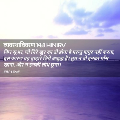 Picture 02 - व्यवस्थाविवरण 14:8 HINIRV - फिर सूअर, जो चिरे - Bible Verse Picture