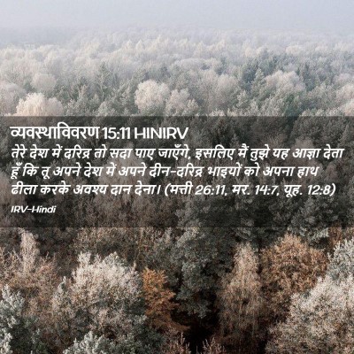 Picture 02 - व्यवस्थाविवरण 15:11 HINIRV - तेरे देश में - Bible Verse Picture