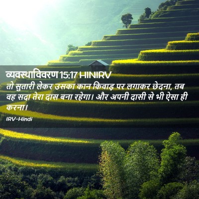 Picture 02 - व्यवस्थाविवरण 15:17 HINIRV - तो सुतारी लेकर - Bible Verse Picture