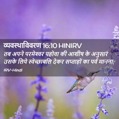 Picture 02 - व्यवस्थाविवरण 16:10 HINIRV - तब अपने परमेश्‍वर - Bible Verse Picture