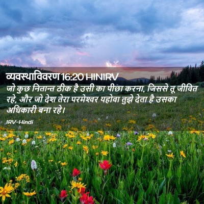 Picture 02 - व्यवस्थाविवरण 16:20 HINIRV - जो कुछ नितान्त ठीक - Bible Verse Picture