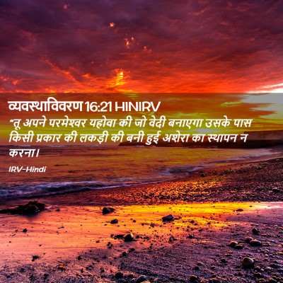 Picture 02 - व्यवस्थाविवरण 16:21 HINIRV - “तू अपने - Bible Verse Picture