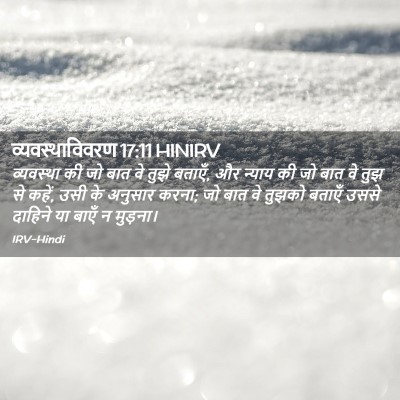 Picture 02 - व्यवस्थाविवरण 17:11 HINIRV - व्यवस्था की जो बात - Bible Verse Picture