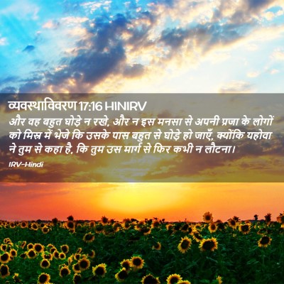 Picture 02 - व्यवस्थाविवरण 17:16 HINIRV - और वह बहुत घोड़े न - Bible Verse Picture