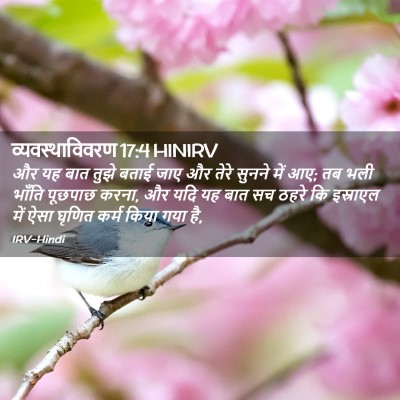 Picture 02 - व्यवस्थाविवरण 17:4 HINIRV - और यह बात तुझे बताई - Bible Verse Picture