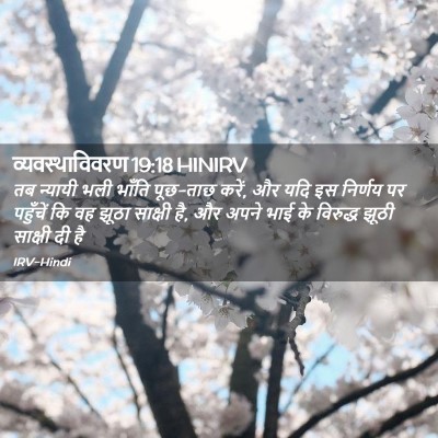 Picture 02 - व्यवस्थाविवरण 19:18 HINIRV - तब न्यायी भली - Bible Verse Picture